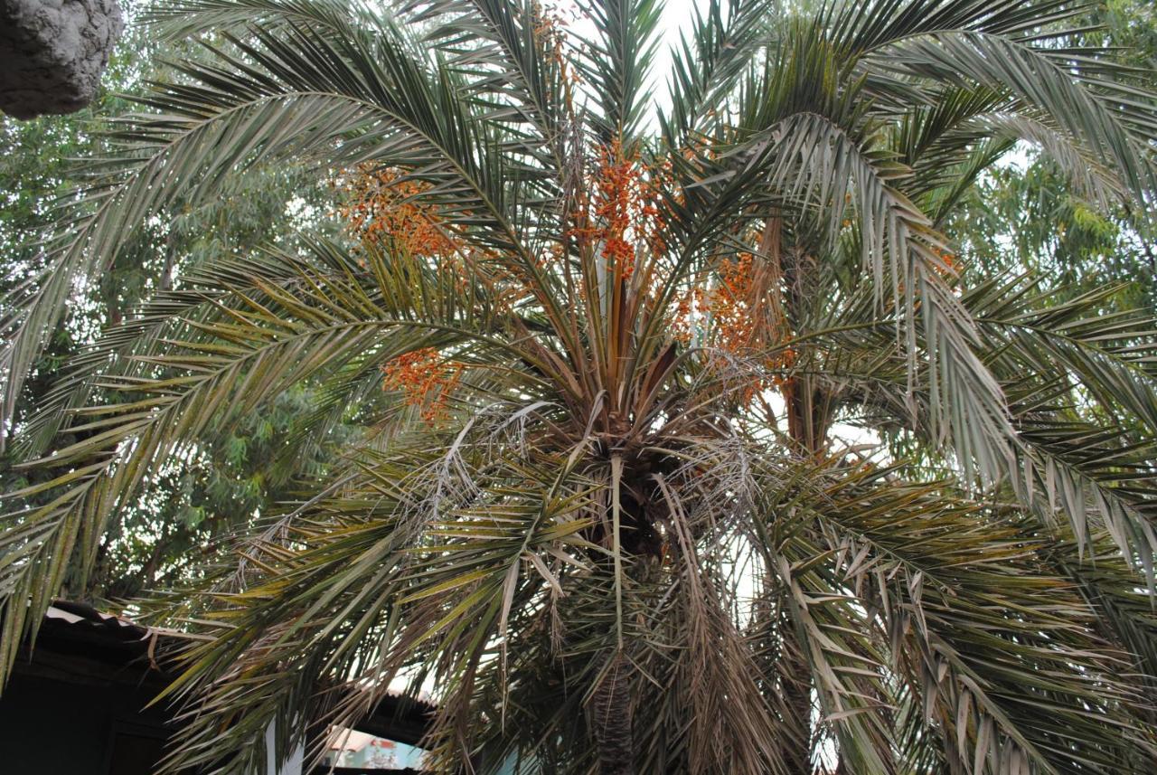 Rainbow Beach Resort Sanyang Exterior foto